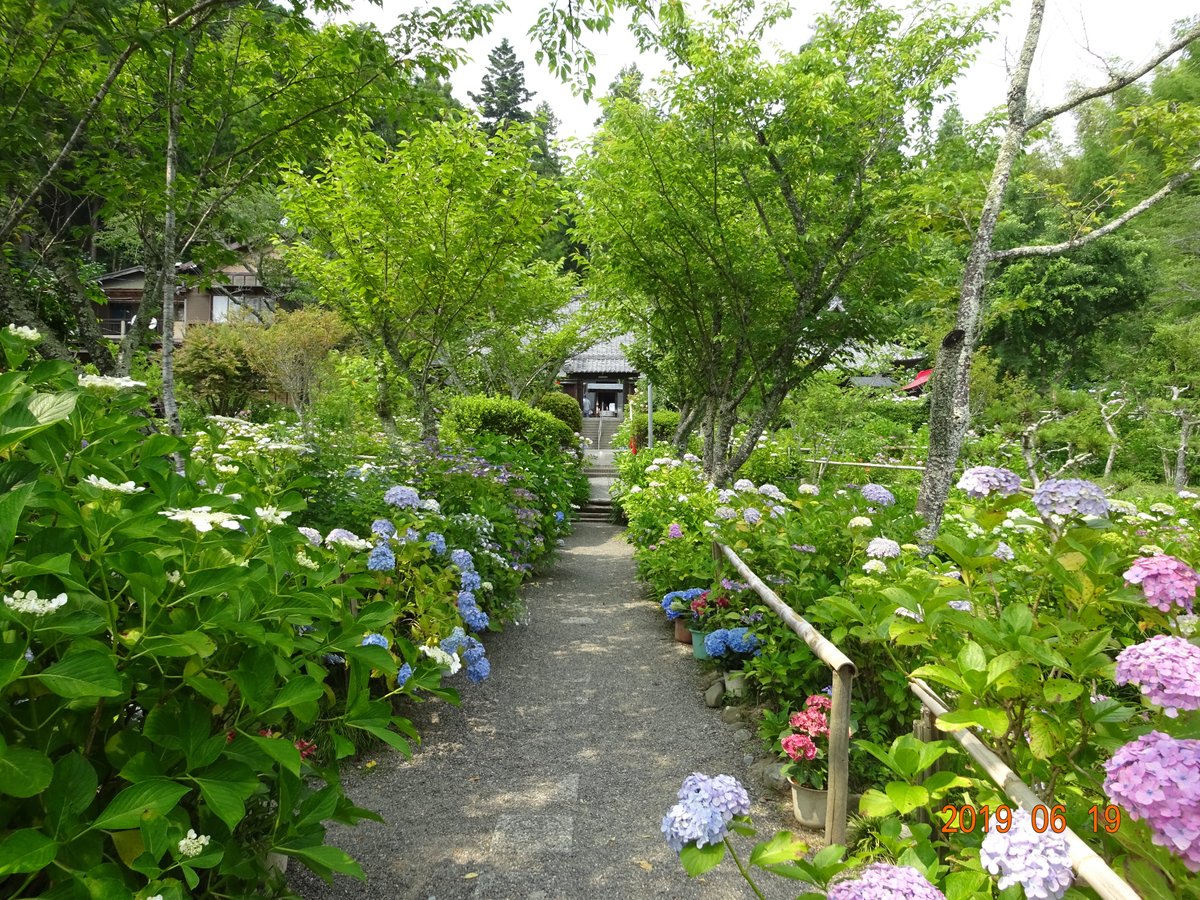 Gokuraku Ji Temple Mori Machi Tripadvisor