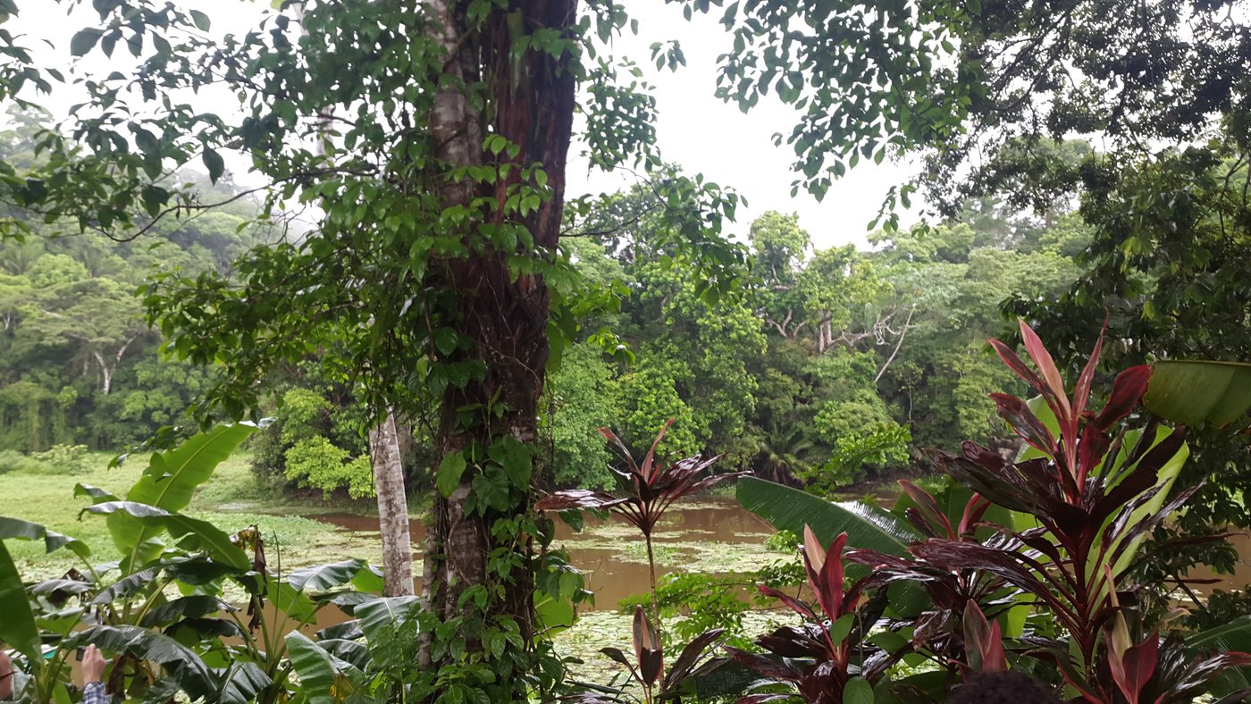 Parque Nacional Soberania O que saber antes de ir (2025)