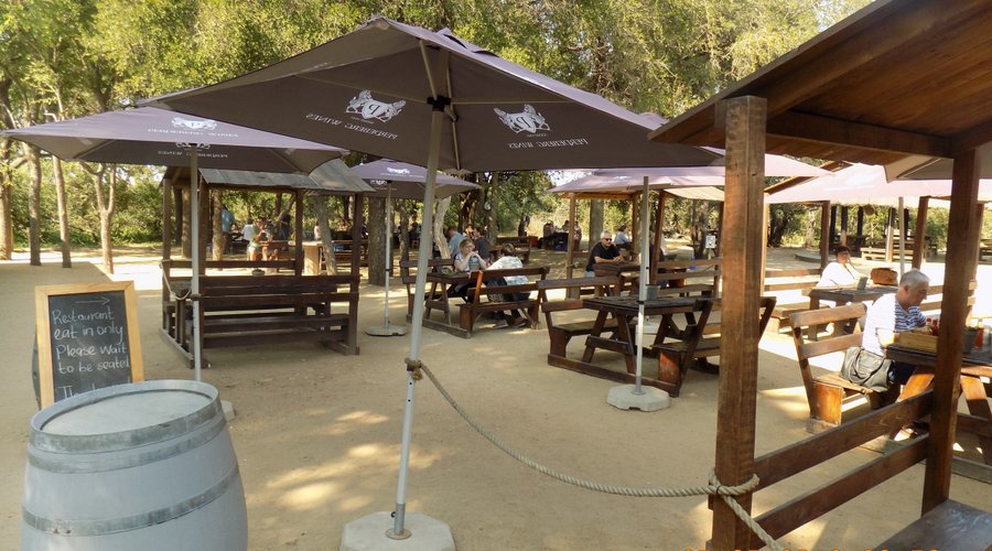 Watch out for monkeys who will help you finish your meal.