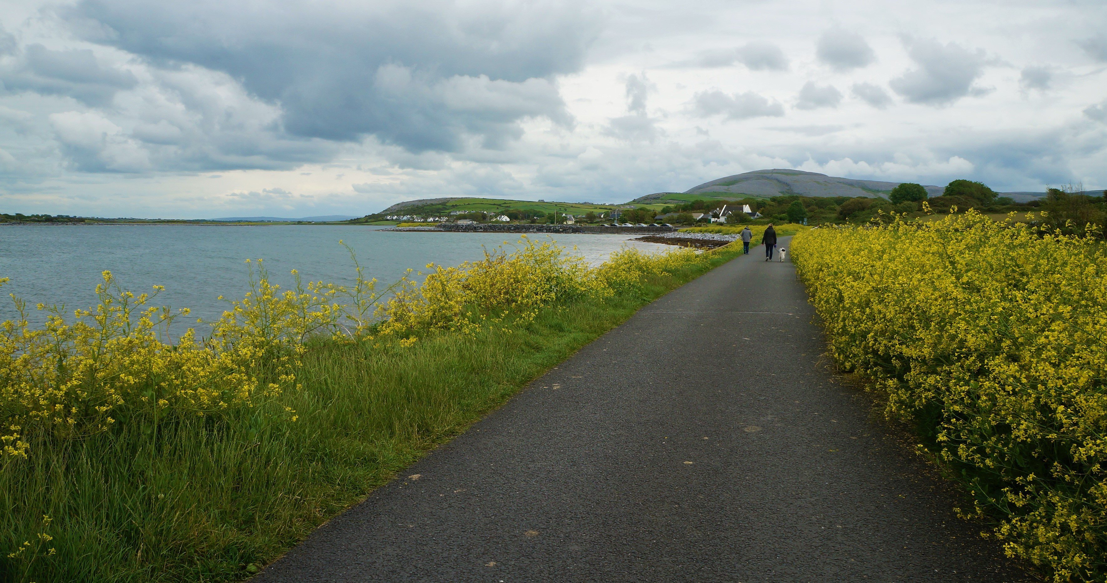 Flaggy Shore (County Clare) - Alles Wat U Moet Weten VOORDAT Je Gaat ...