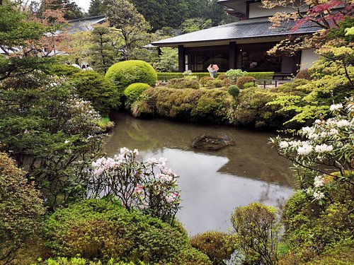 Aoshima's Hidden Japanese Garden - Miyazaki - Japan Travel