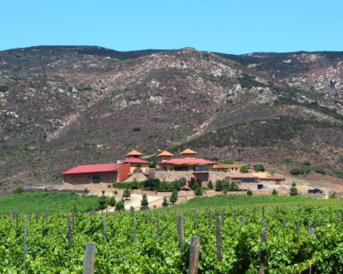 Introducir 88+ imagen casas vinicolas en el valle de guadalupe