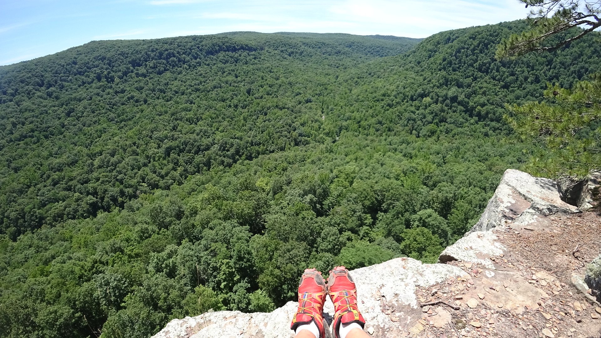 Buffalo wilderness outlet