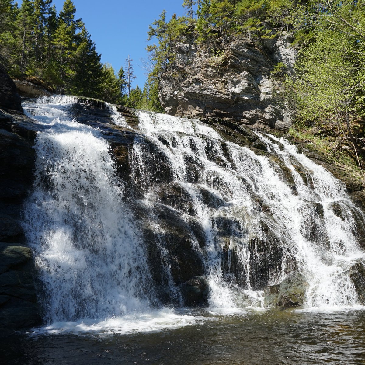 The wondrous views from Fundy National Park in Alma New Brunswick