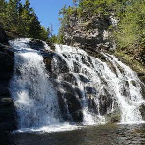 Fundy National Park Reviews