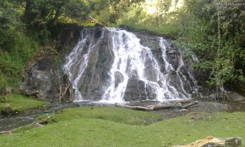 Welcome!  Karibu! We are specialized a safari company to Tanzania, Kenya, Uganda and Rwanda. Tanzania ;Mt. Kilimanjaro,  Serengeti, Ngorongoro,  Zanzibar Kenya :Mara, Amboseli, Lake Nakuru, Uganda, Gorilla tracking  parks Rwanda: Wildlife parks and Nature  www.equatorialsafaris.net http://kibokobushcamptz.blogspot.com/ WhatsApp +255754476861 E-mail, equatorialsafaristz@gmail.com Contact Person,  Roman Chuwa
