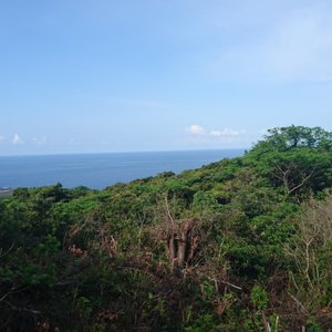 部屋から撮影