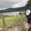 Summercita