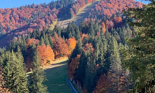 Autumn view of the ski slope