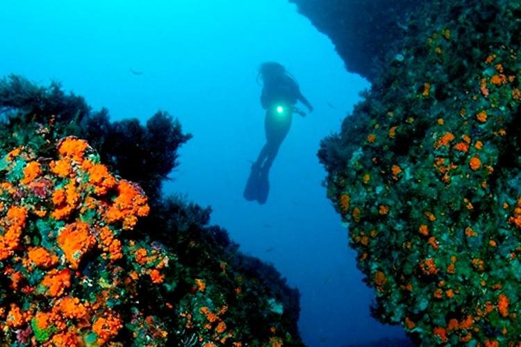 Roche, Spanien Tourismus in Roche Tripadvisor