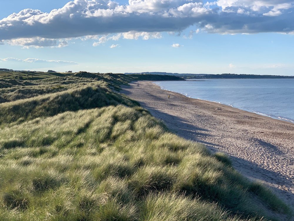 THE BEST Warkworth Beaches (Updated 2024) Tripadvisor