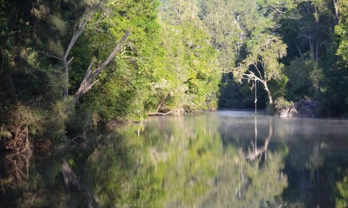 Yabba Creek runs alongside the campgrounds and is a short walk down from the campgrounds.
