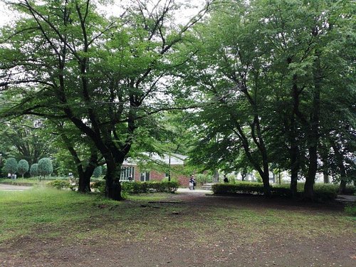 Kunitachi, Tachikawa & Around - Tokyo's biggest park