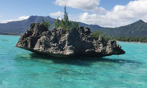 Crystal Rock 