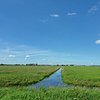 nattasenka