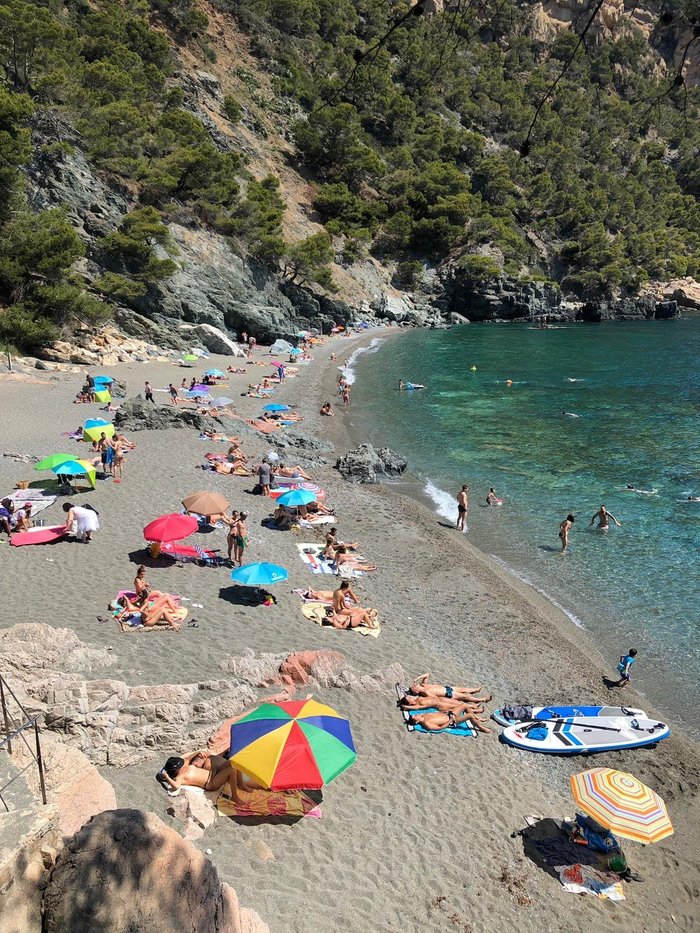 Imagen 4 de Playa Fonda, Begur (Platja Fonda, Begur)