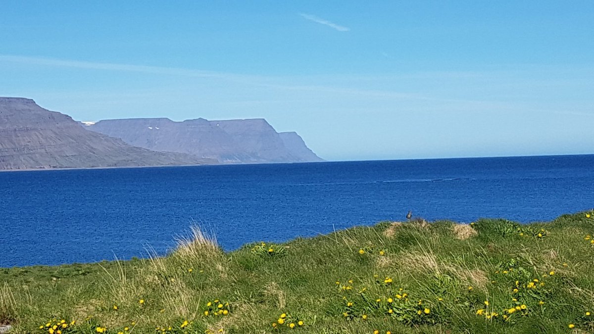 Vigur Island (Isafjordur) - 2022 Qué saber antes de ir - Lo más ...