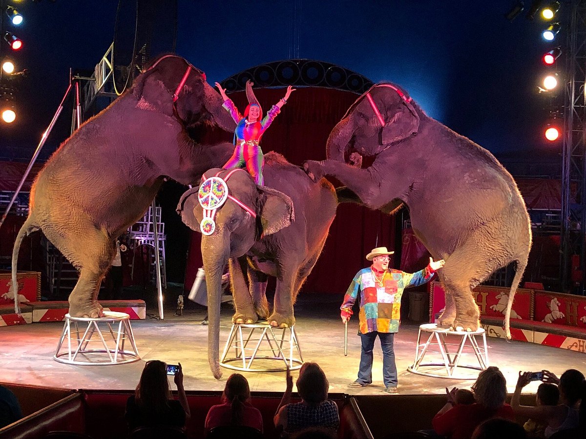 Circus World - All You Need to Know BEFORE You Go (with Photos)