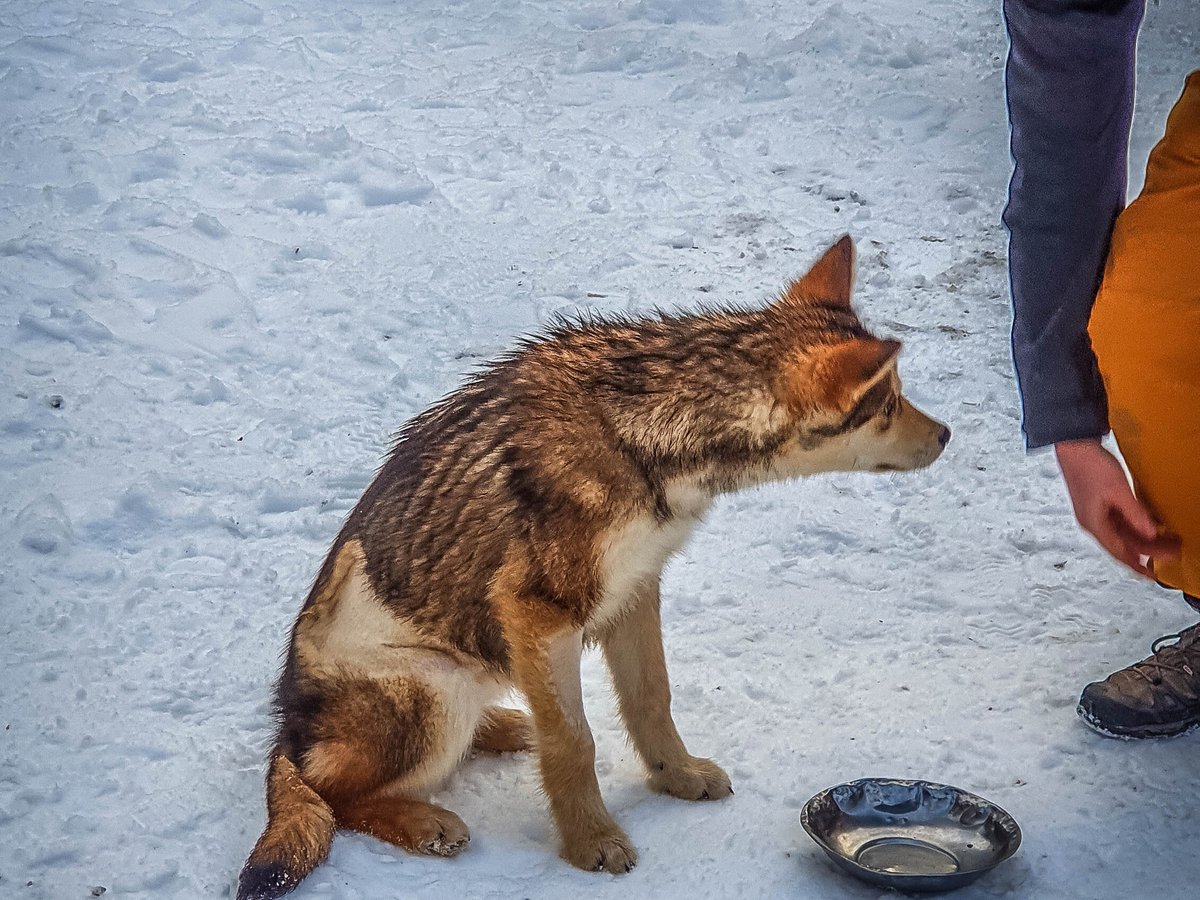 Valle de Lobos (Ushuaia) - 2023 Qué saber antes de ir - Lo más comentado  por la gente - Tripadvisor