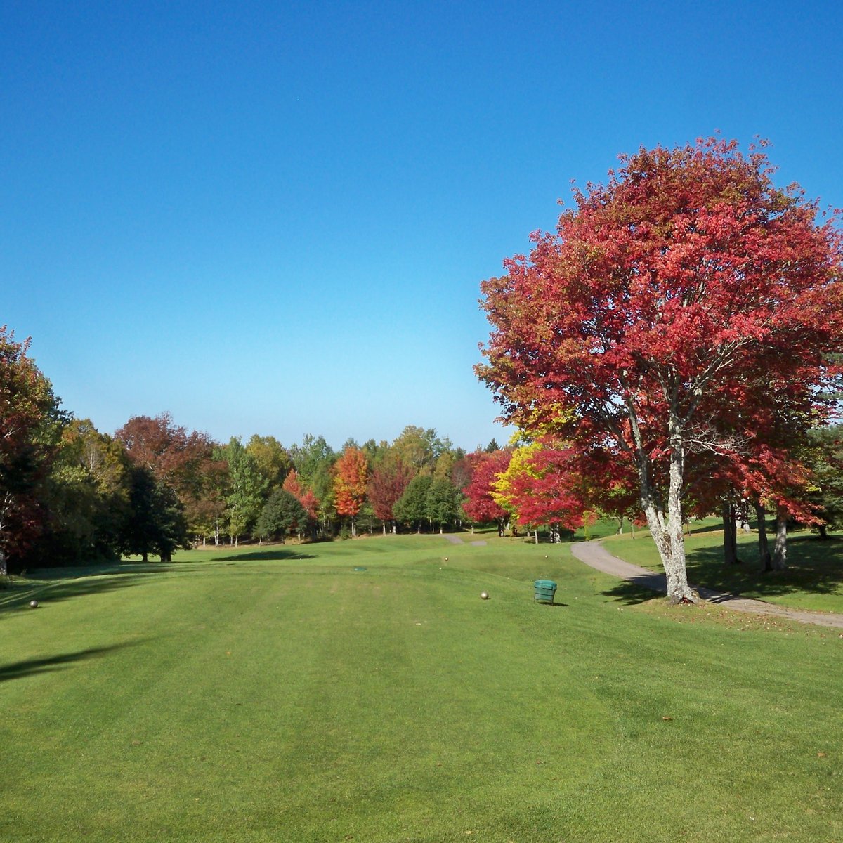 HAMPTON GOLF CLUB All You Need to Know BEFORE You Go