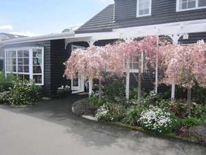 Cottage Mews Motel in Taupo, image may contain: Neighborhood, Potted Plant, Porch, City