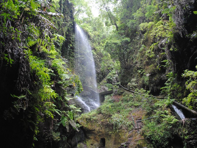 La Palma 2024 O que saber antes de ir Tripadvisor