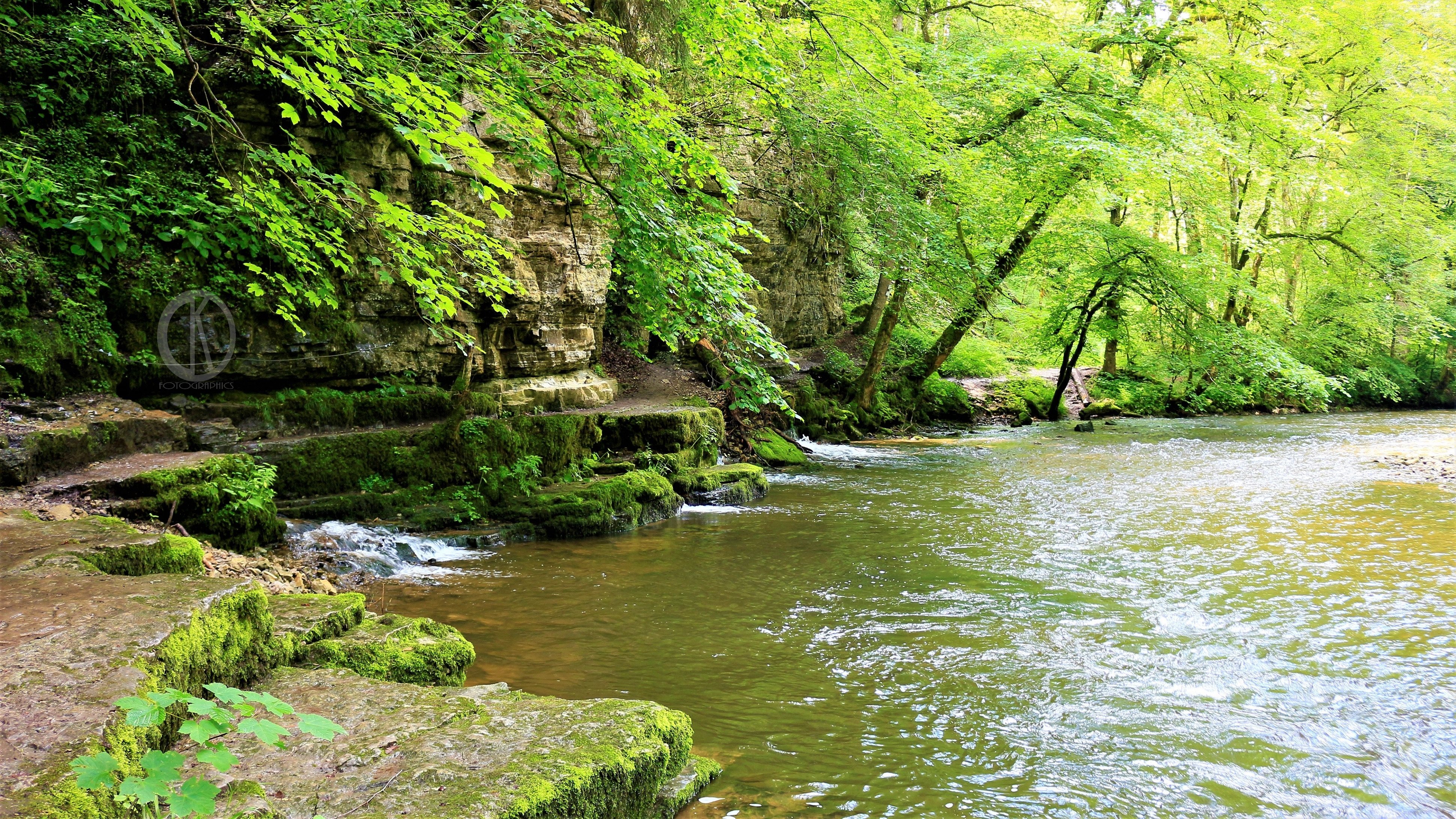 Black forest clearance hiking trails