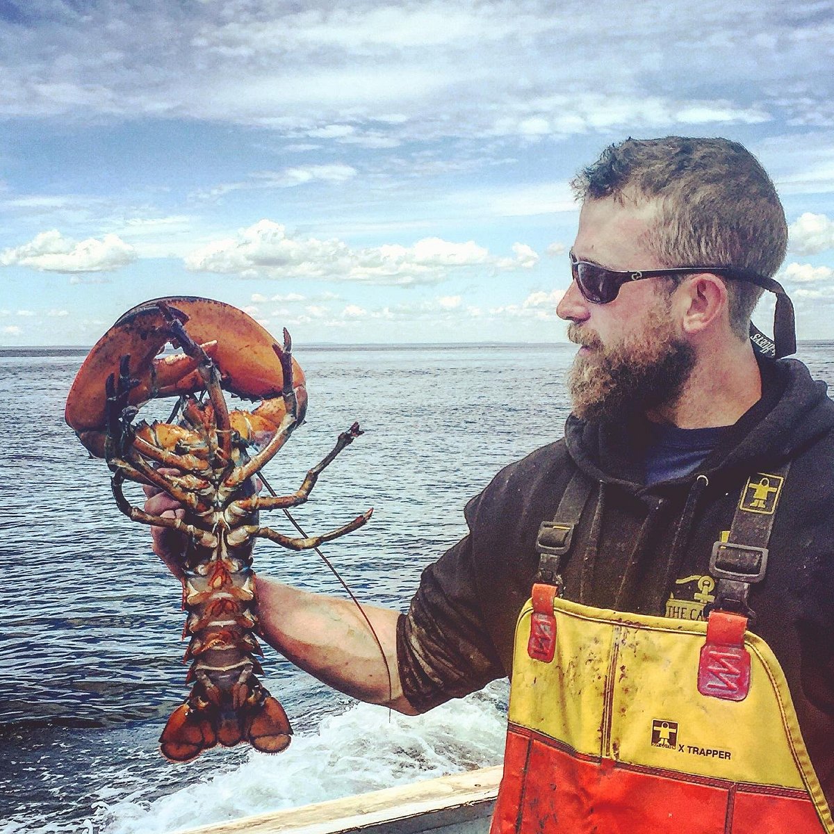 One keeper lobster from the pots last night. : r/Fishing