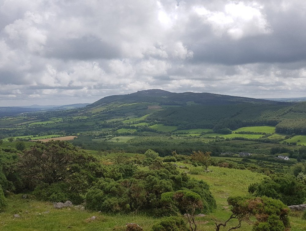 DIE TOP 10 Sehenswürdigkeiten in Waterford 2023 (mit fotos) Tripadvisor