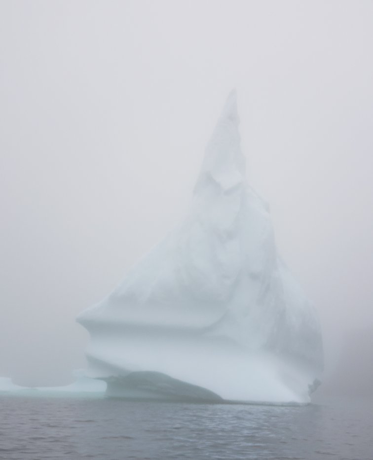 ICEBERG ALLEY BOAT TOURS All You MUST Know Before You Go 2024   20190618 141148 Largejpg 