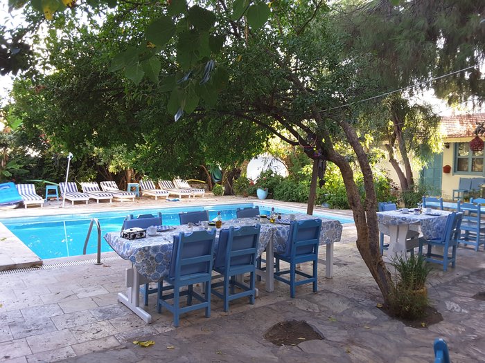 Jenny's House Pool: Pictures & Reviews - Tripadvisor