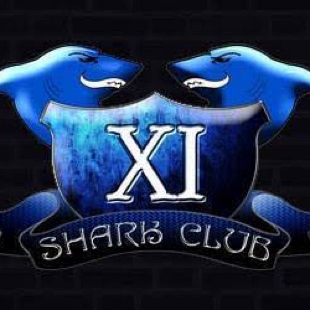 Shark Club XI (Kinshasa) - All You Need to Know BEFORE You Go