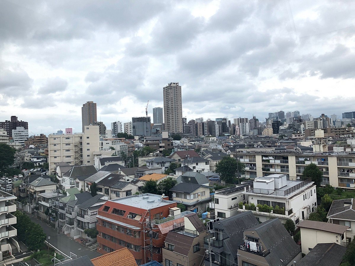 HOME – YAYOI KUSAMA MUSEUM 草間彌生美術館