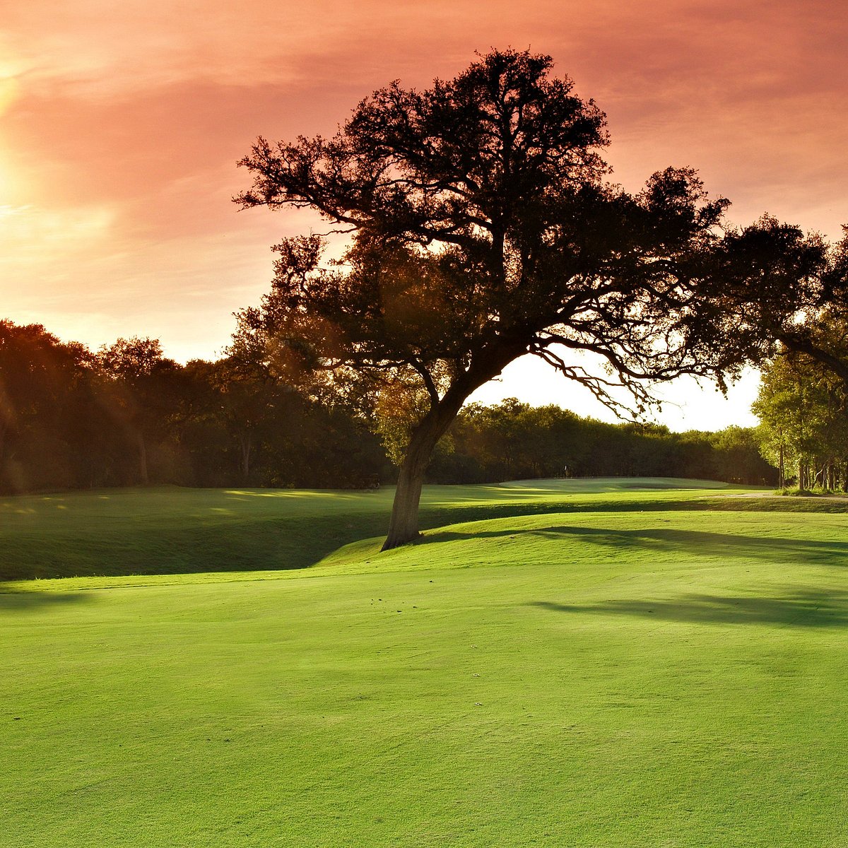 Republic Golf Club (San Antonio) All You Need to Know BEFORE You Go