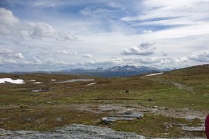 Utsikt från rummet