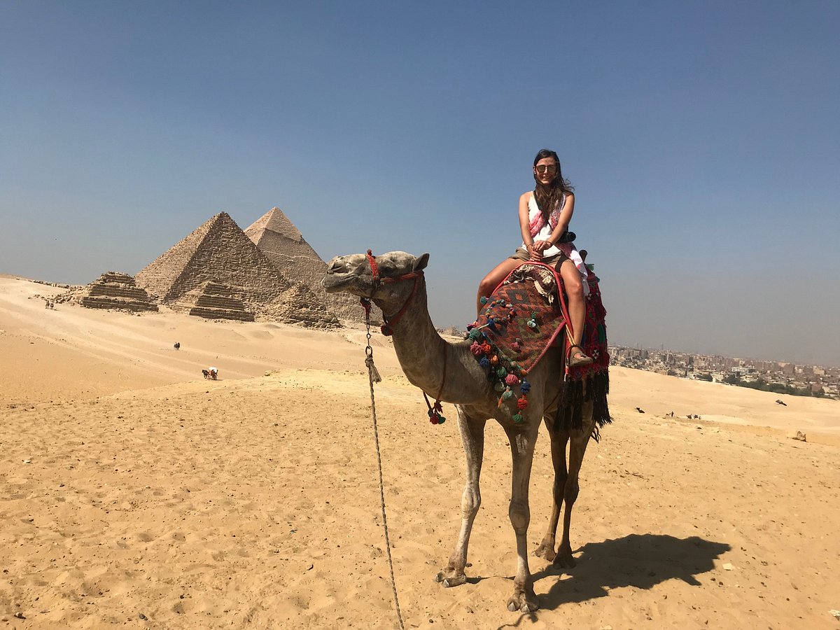 book tours egypt
