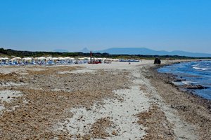 Pool & Beach