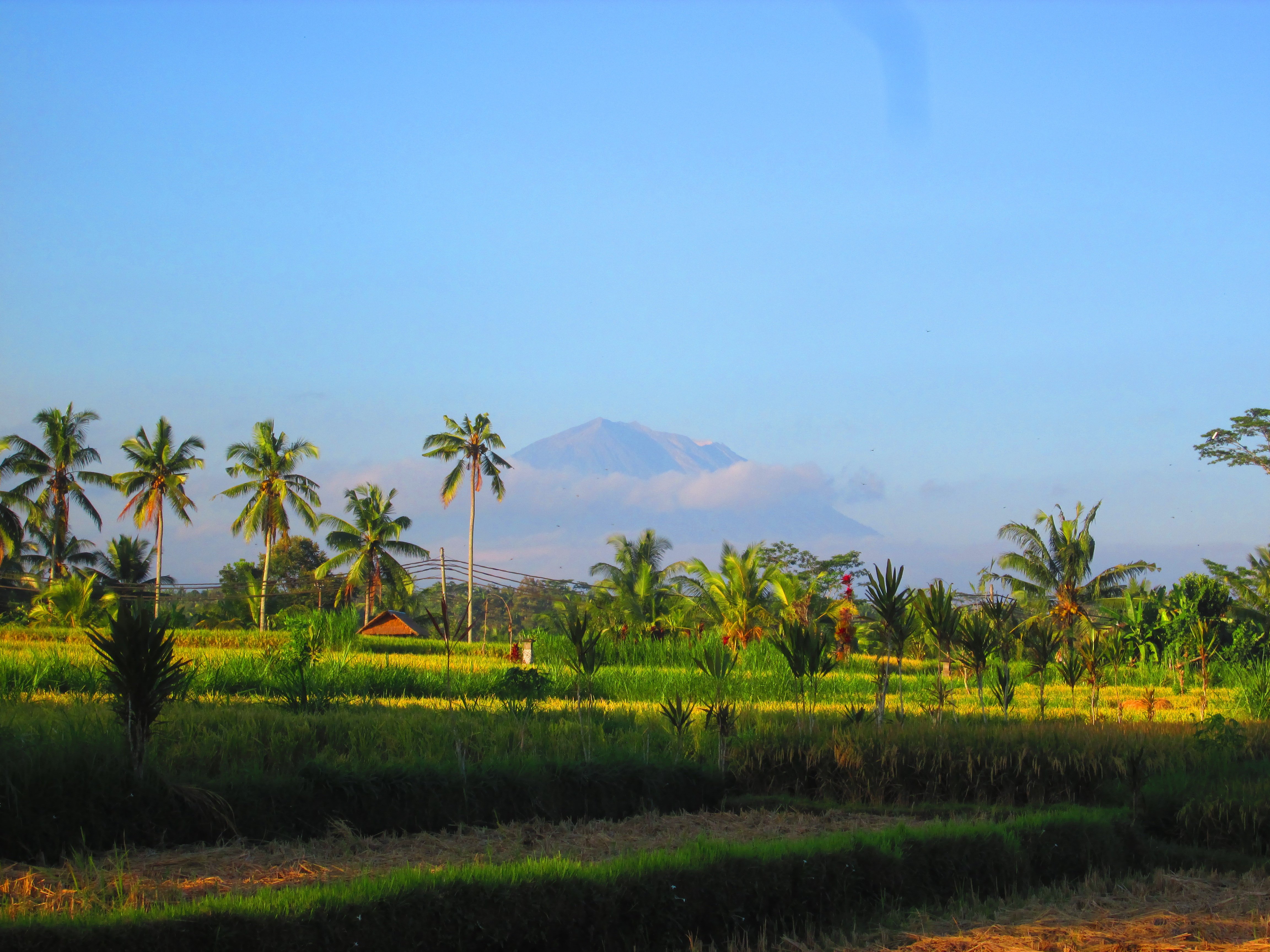 VILLA NEYANG B&B (Ubud, Bali): Prezzi E Recensioni (2024)