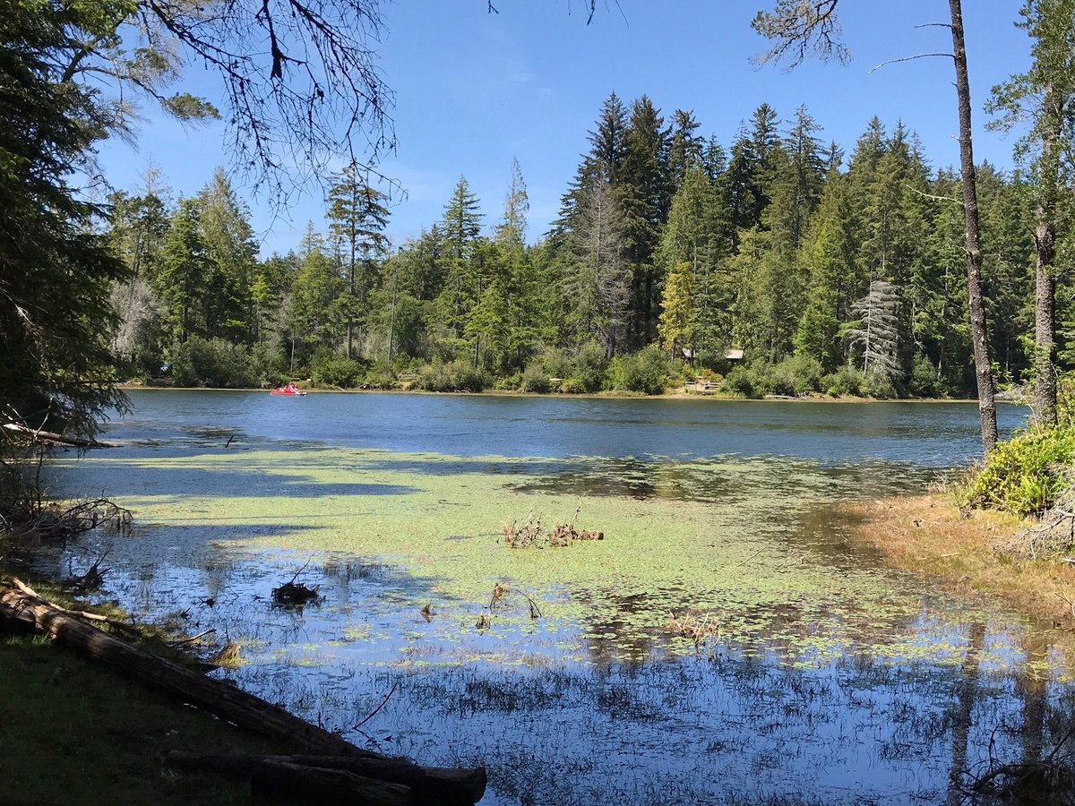 Jessie M. Honeyman Memorial State Park, Florence