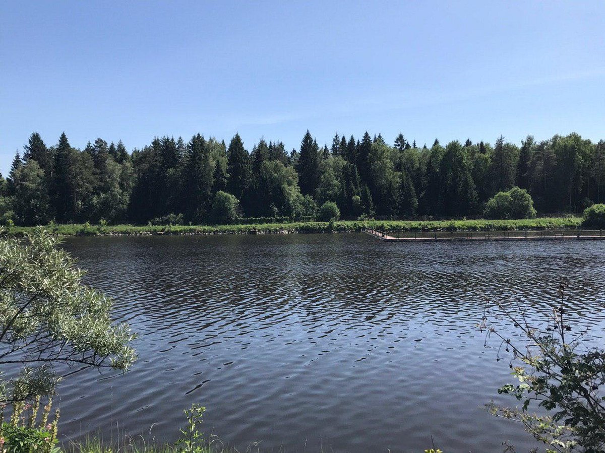 KUBINKA FISHING PARK (Кубинка) - отзывы и фото - Tripadvisor