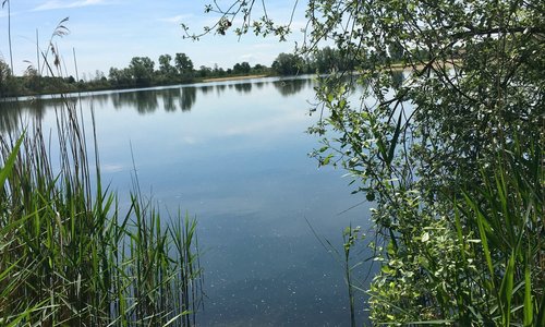 Idyllische Stellen beim Rundgang um den See