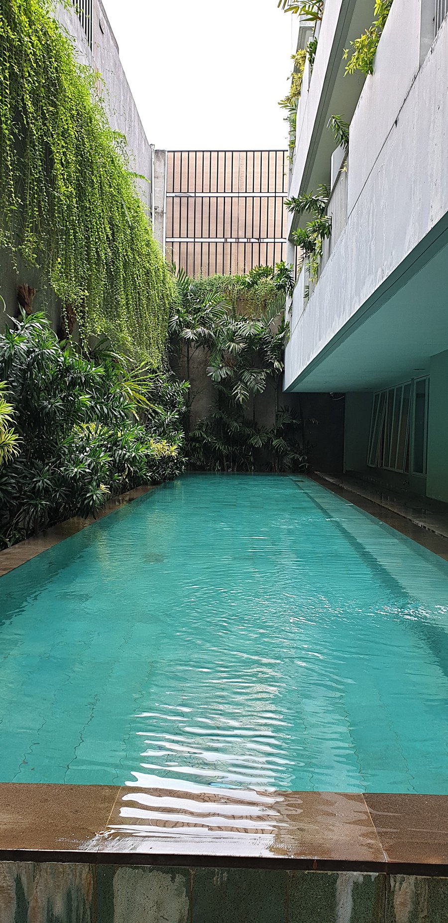 The Loji Patra Kuningan Pool Pictures Reviews Tripadvisor