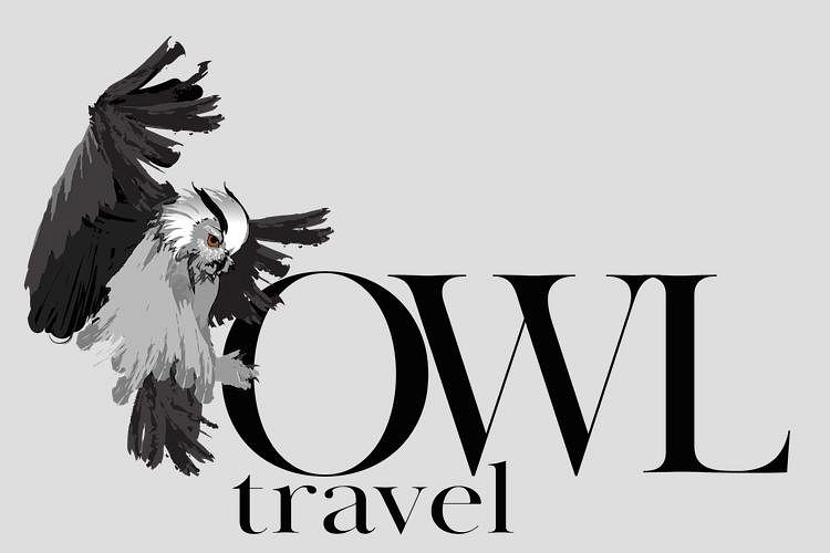 travel owl website