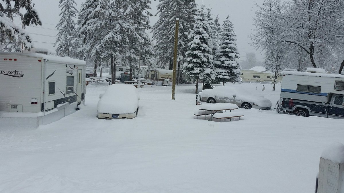 GLACIER PINES RV PARK (Kalispell, Montana) - Campground Reviews ...