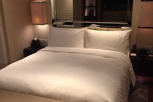 Room & Suite