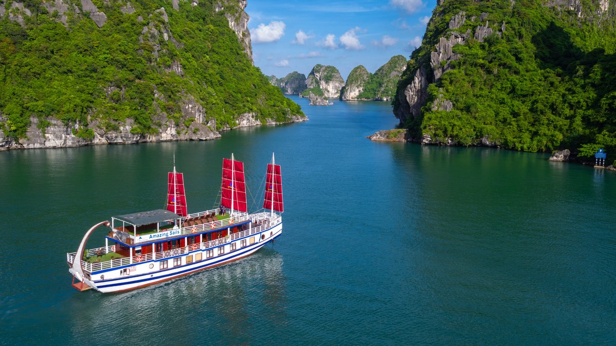 Amazing Halong (Ha Long, Việt Nam) - Đánh giá - Tripadvisor