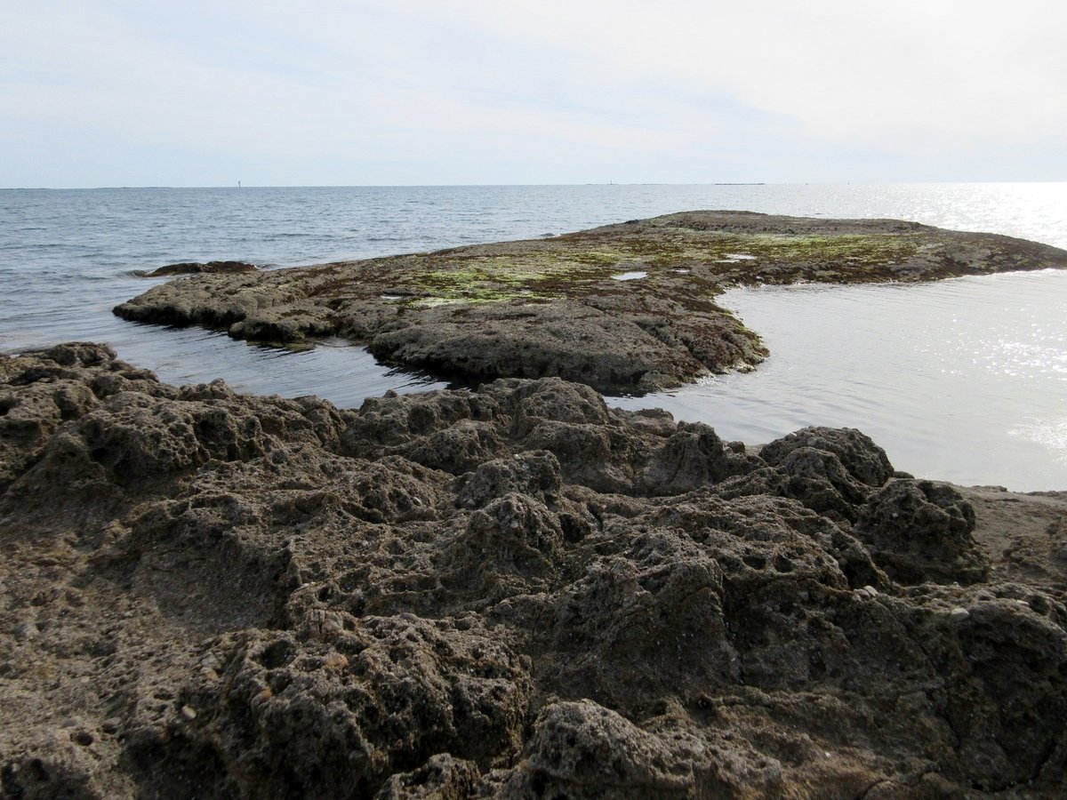 Cape Tenjin Zaki Tanabe Ce Qu Il Faut Savoir Pour Votre Visite