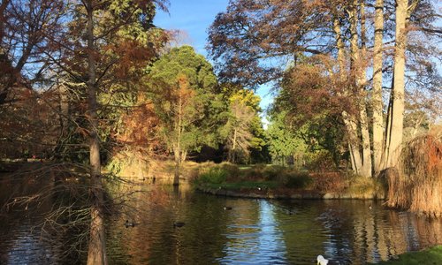 Christchurch botanic garden