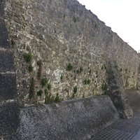 Buttressed wall