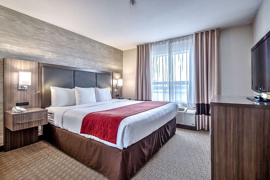 Comfort Inn Suites South Rooms Pictures Reviews Tripadvisor 99 restaurant in our parking lot. tripadvisor
